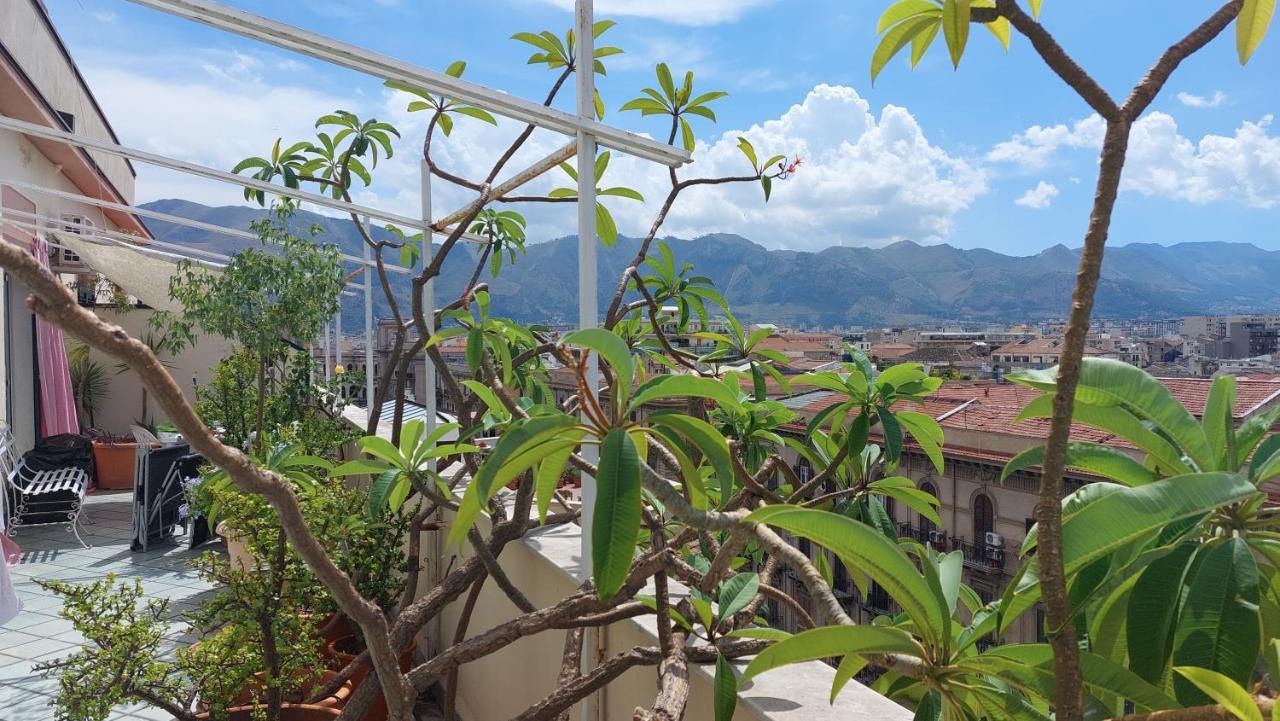 Settimocielo Lägenhet Palermo Exteriör bild